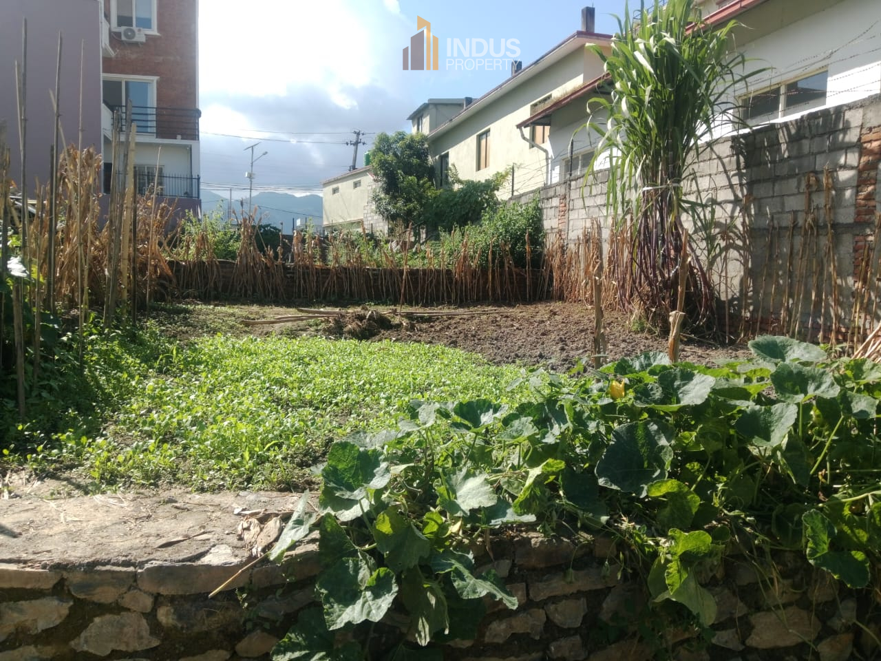 property-image